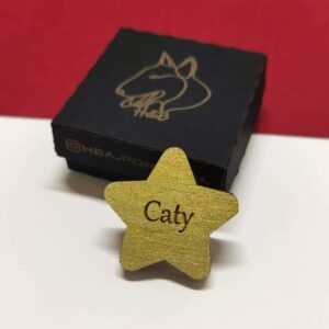 Estrela dourada personalizada em madeira, pintada com acabamento brilhante, disponível como íman ou pin | Custom golden wooden star, painted with a shiny finish, available as a magnet or pin